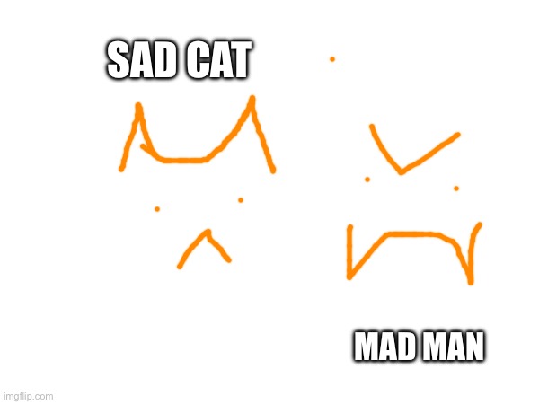 SAD CAT; MAD MAN | made w/ Imgflip meme maker