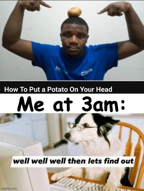 Time to find out | Me at 3am: | image tagged in well well well then let's find out,potato | made w/ Imgflip meme maker