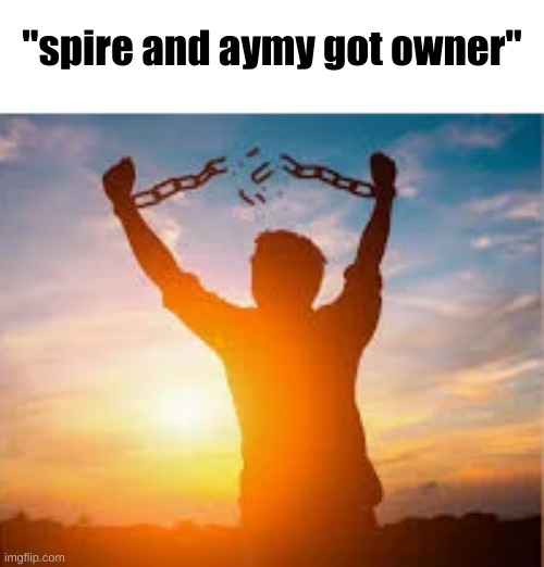 chains breaking man | "spire and aymy got owner" | image tagged in chains breaking man | made w/ Imgflip meme maker