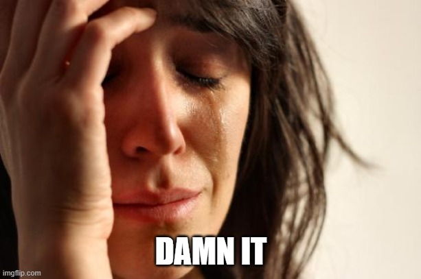 First World Problems Meme | DAMN IT | image tagged in memes,first world problems | made w/ Imgflip meme maker
