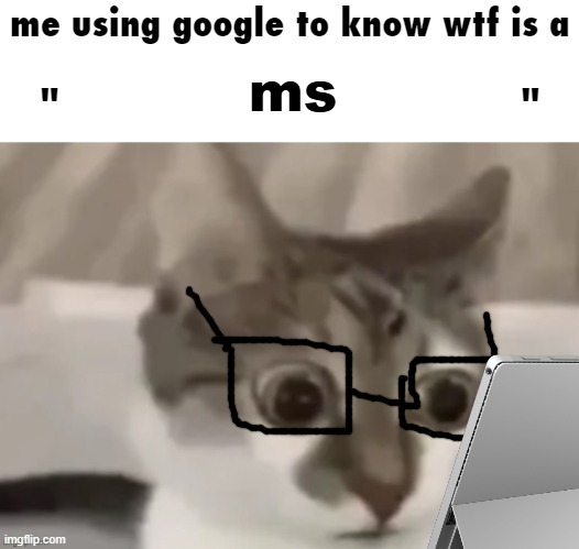 me using google to know wtf is a X | ms | image tagged in me using google to know wtf is a x | made w/ Imgflip meme maker