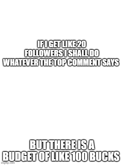 anyone | IF I GET LIKE 20 FOLLOWERS I SHALL DO WHATEVER THE TOP COMMENT SAYS; BUT THERE IS A BUDGET OF LIKE 100 BUCKS | image tagged in memes | made w/ Imgflip meme maker