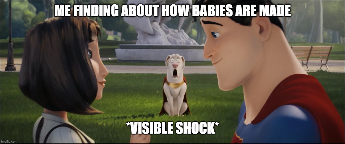 Krypto shocked about Superman and Lois | ME FINDING ABOUT HOW BABIES ARE MADE; *VISIBLE SHOCK* | image tagged in krypto shocked about superman and lois | made w/ Imgflip meme maker