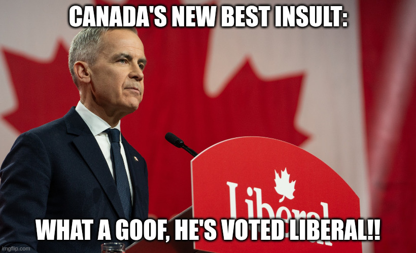insult | CANADA'S NEW BEST INSULT:; WHAT A GOOF, HE'S VOTED LIBERAL!! | image tagged in liberal | made w/ Imgflip meme maker