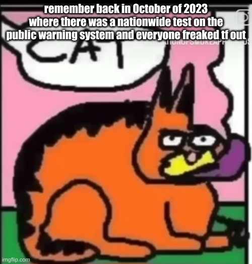 CAT | remember back in October of 2023 where there was a nationwide test on the public warning system and everyone freaked tf out | image tagged in cat | made w/ Imgflip meme maker