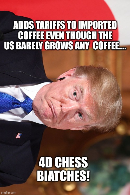 4d chess | ADDS TARIFFS TO IMPORTED COFFEE EVEN THOUGH THE US BARELY GROWS ANY  COFFEE.... 4D CHESS BIATCHES! | image tagged in donald trump,trump,nevertrump,tariffs,maga,trump sucks | made w/ Imgflip meme maker