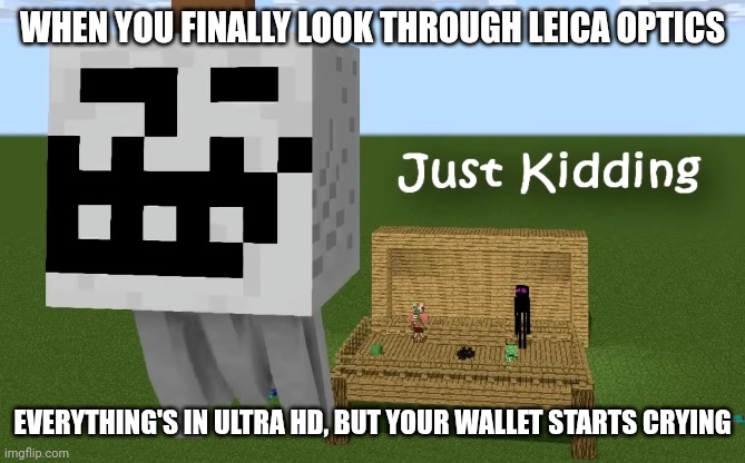 Trollface Ghast Meme Leica Optics | WHEN YOU FINALLY LOOK THROUGH LEICA OPTICS; EVERYTHING'S IN ULTRA HD, BUT YOUR WALLET STARTS CRYING | image tagged in trollface ghast,memes,leica optics,camera | made w/ Imgflip meme maker