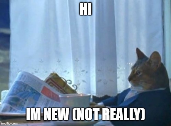 not really | HI; IM NEW (NOT REALLY) | image tagged in memes,i should buy a boat cat | made w/ Imgflip meme maker