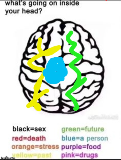 What's going on inside your head? | image tagged in what's going on inside your head | made w/ Imgflip meme maker