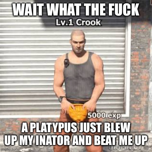 He was wearing a fedora | WAIT WHAT THE FUCK; A PLATYPUS JUST BLEW UP MY INATOR AND BEAT ME UP | image tagged in lv 1 crook | made w/ Imgflip meme maker