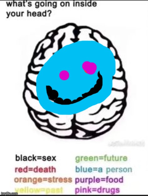 What's going on inside your head? | image tagged in what's going on inside your head | made w/ Imgflip meme maker