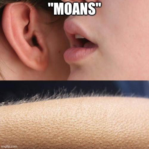 Whisper and Goosebumps | "MOANS" | image tagged in whisper and goosebumps | made w/ Imgflip meme maker
