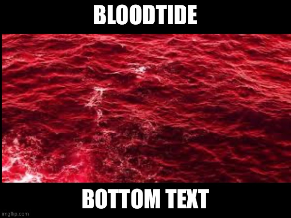 Literally Bloodtide [Mod note: real] | BLOODTIDE; BOTTOM TEXT | image tagged in bloodtide,random tag i decided to put,another random tag i decided to put | made w/ Imgflip meme maker