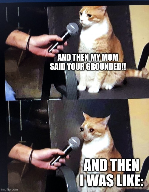 Cat interview crying | AND THEN MY MOM SAID YOUR GROUNDED!! AND THEN I WAS LIKE: | image tagged in cat interview crying | made w/ Imgflip meme maker