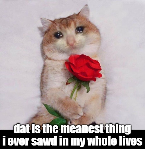dat is the meanest thing i ever sawd in my whole lives | made w/ Imgflip meme maker