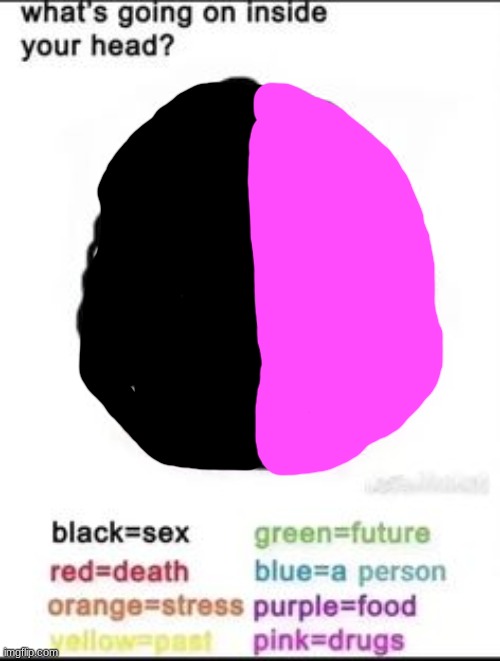 What's going on inside your head? | image tagged in what's going on inside your head | made w/ Imgflip meme maker