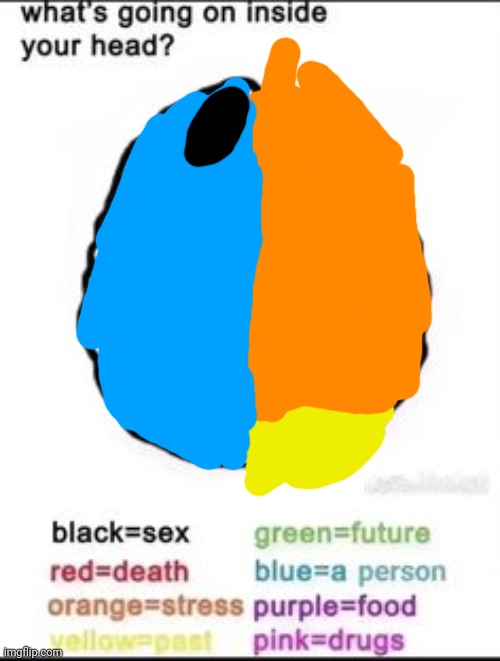 What's going on inside your head? | image tagged in what's going on inside your head | made w/ Imgflip meme maker