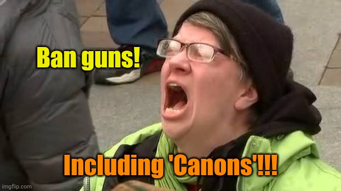 Screaming Trump Protester at Inauguration | Ban guns! Including 'Canons'!!! | image tagged in screaming trump protester at inauguration | made w/ Imgflip meme maker