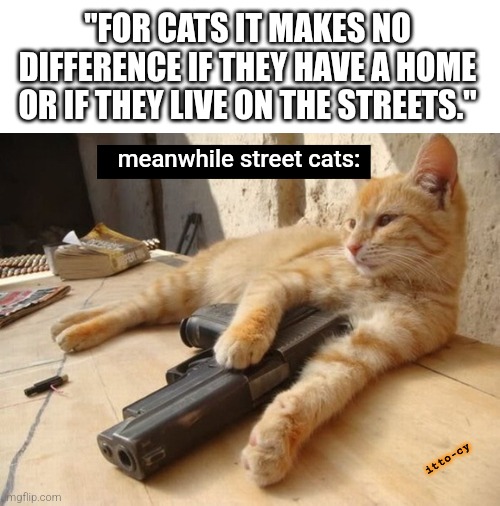 de shtreets | "FOR CATS IT MAKES NO DIFFERENCE IF THEY HAVE A HOME OR IF THEY LIVE ON THE STREETS."; meanwhile street cats:; itto-cy | image tagged in cats,funny cats,fun | made w/ Imgflip meme maker