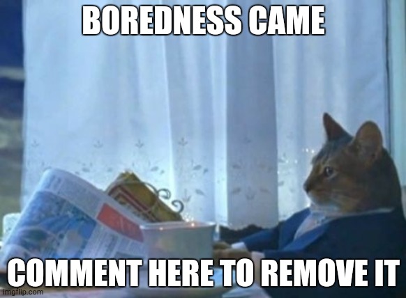 I Should Buy A Boat Cat Meme | BOREDNESS CAME; COMMENT HERE TO REMOVE IT | image tagged in memes,i should buy a boat cat | made w/ Imgflip meme maker