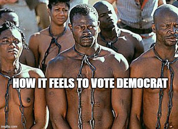 dear democrats, you ain't own they votes | HOW IT FEELS TO VOTE DEMOCRAT | image tagged in slavery,crying democrats | made w/ Imgflip meme maker