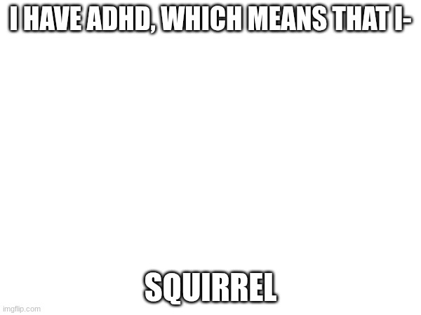 I HAVE ADHD, WHICH MEANS THAT I-; SQUIRREL | made w/ Imgflip meme maker