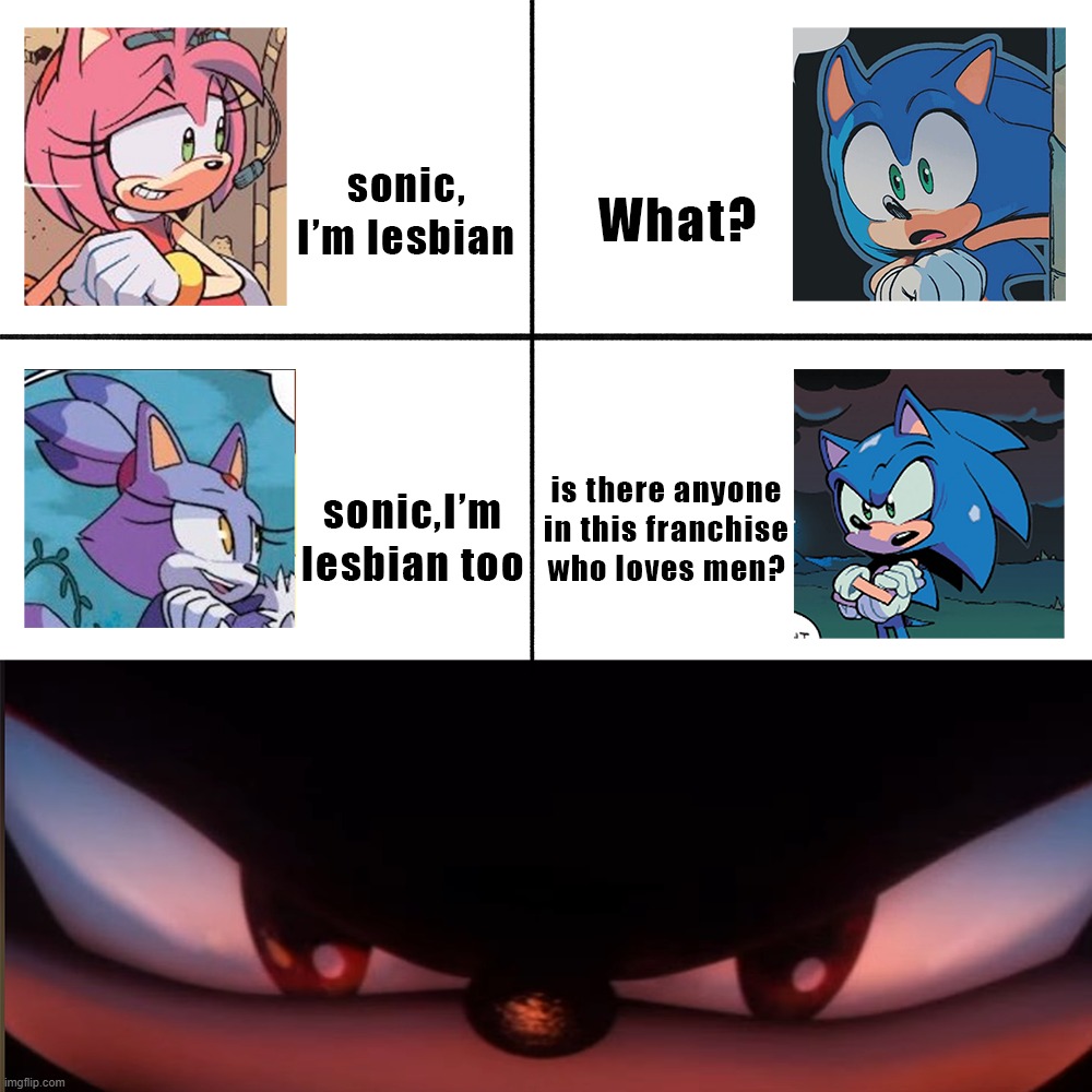 image tagged in sonic the hedgehog,amy rose,blaze the cat,shadow the hedgehog | made w/ Imgflip meme maker