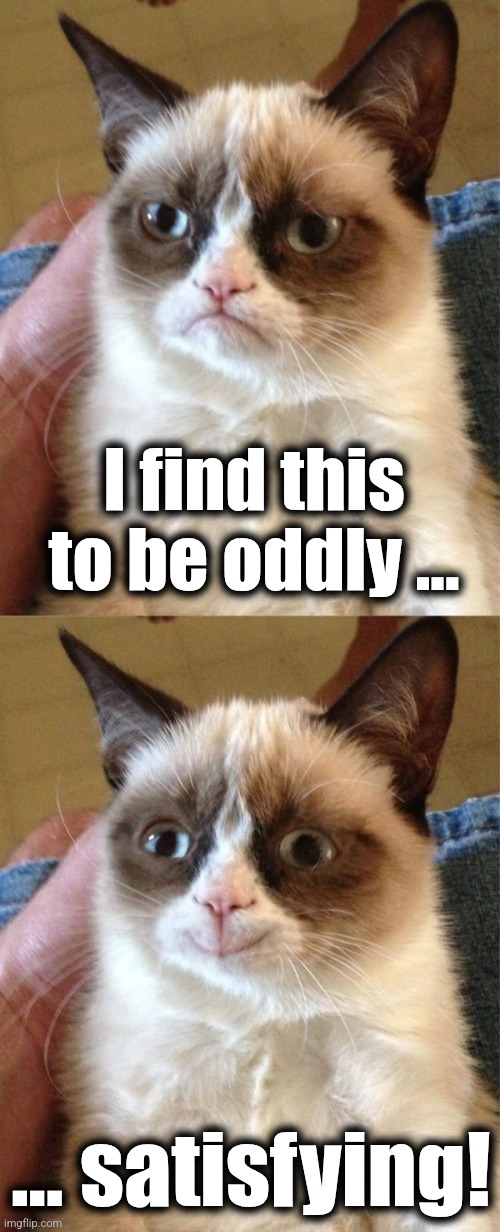 I find this to be oddly ... ... satisfying! | image tagged in memes,grumpy cat,grumpy cat happy | made w/ Imgflip meme maker