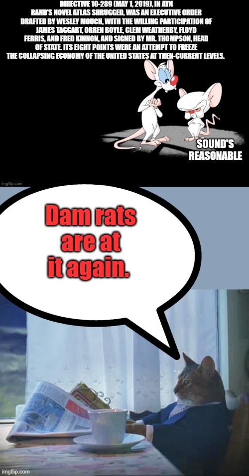 DEMrats | Dam rats are at it again. | image tagged in cat reading newspaper | made w/ Imgflip meme maker