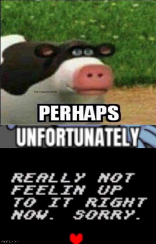 image tagged in perhaps cow,that s a nice chain unfortunately,really not feeling up to it right now sorry | made w/ Imgflip meme maker