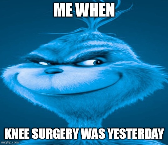 ME WHEN KNEE SURGERY WAS YESTERDAY | image tagged in blue grinch | made w/ Imgflip meme maker