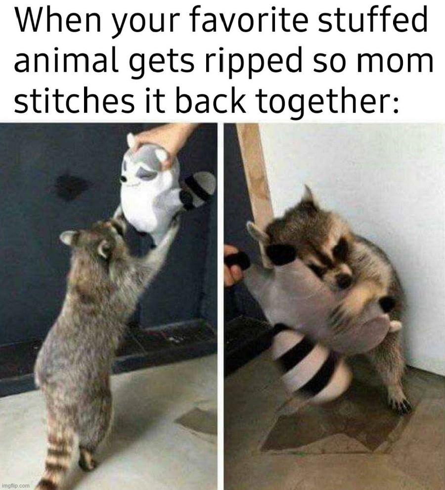 When mom fixes your stuffed friend | image tagged in wholesome | made w/ Imgflip meme maker