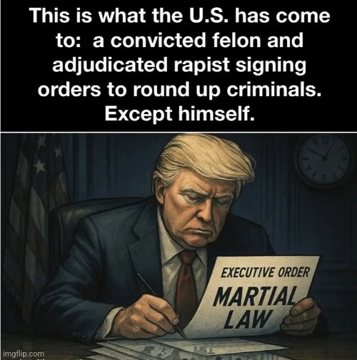 Convicted Rapist | image tagged in felon,trump | made w/ Imgflip meme maker