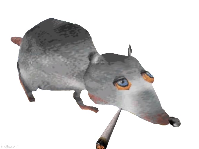 weed | image tagged in jerma rat | made w/ Imgflip meme maker