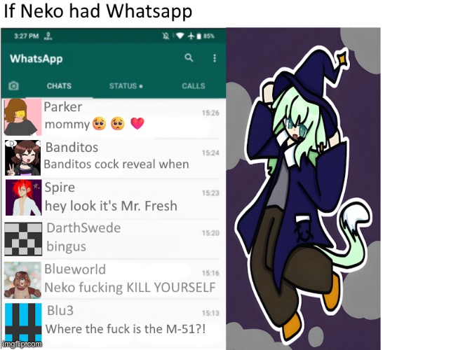 If Neko had Whatsapp | image tagged in if neko had whatsapp | made w/ Imgflip meme maker