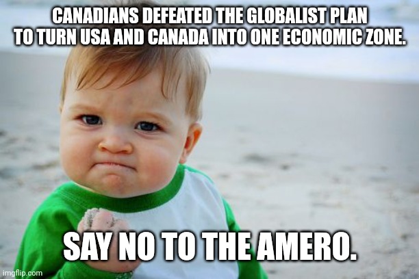 And yeah that included self deletion. But sometimes, you lose so you can win. | CANADIANS DEFEATED THE GLOBALIST PLAN TO TURN USA AND CANADA INTO ONE ECONOMIC ZONE. SAY NO TO THE AMERO. | image tagged in memes,success kid original | made w/ Imgflip meme maker