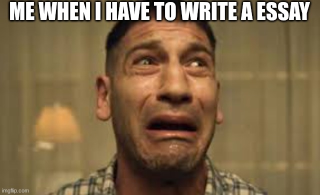 Punisher No no no no no | ME WHEN I HAVE TO WRITE A ESSAY | image tagged in punisher no no no no no | made w/ Imgflip meme maker