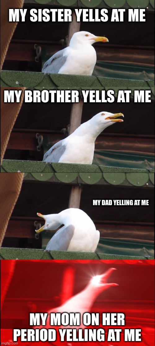 Inhaling Seagull | MY SISTER YELLS AT ME; MY BROTHER YELLS AT ME; MY DAD YELLING AT ME; MY MOM ON HER PERIOD YELLING AT ME | image tagged in memes,inhaling seagull | made w/ Imgflip meme maker