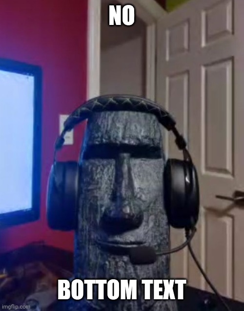 Moai says no to anti-furries | NO; BOTTOM TEXT | image tagged in moai gaming | made w/ Imgflip meme maker