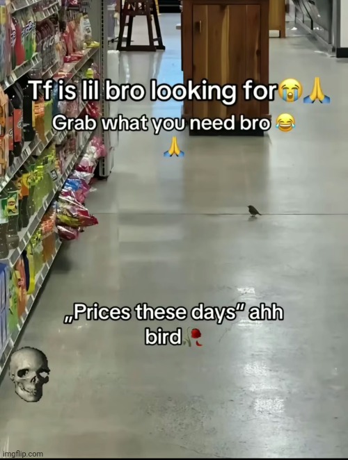 Ts bird is Soo me | made w/ Imgflip meme maker