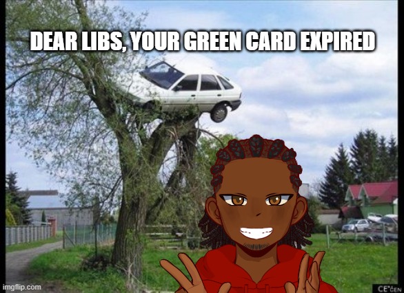 time to leave | DEAR LIBS, YOUR GREEN CARD EXPIRED | image tagged in memes,secure parking,illegal immigration | made w/ Imgflip meme maker