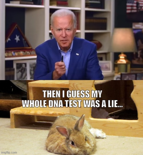 stupid joe | THEN I GUESS MY WHOLE DNA TEST WAS A LIE... | image tagged in biden you ain't black,rabbit | made w/ Imgflip meme maker