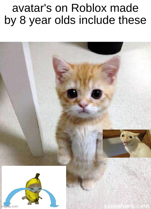 Roblox kids are unfunny | avatar's on Roblox made by 8 year olds include these | image tagged in memes,cute cat,roblox meme,kids these days | made w/ Imgflip meme maker