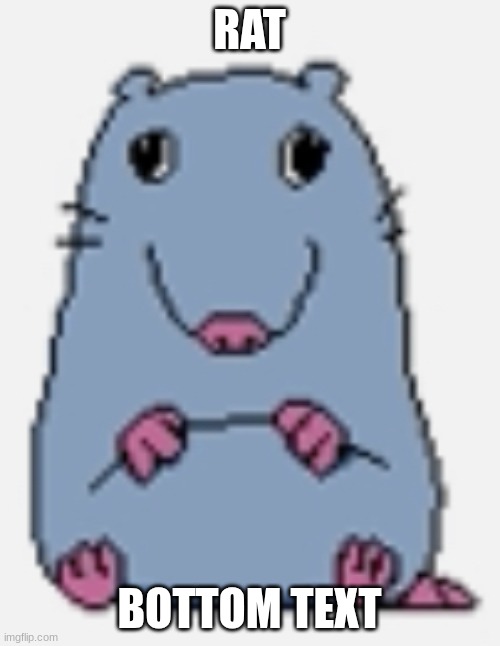 Stupid rat | RAT BOTTOM TEXT | image tagged in stupid rat | made w/ Imgflip meme maker