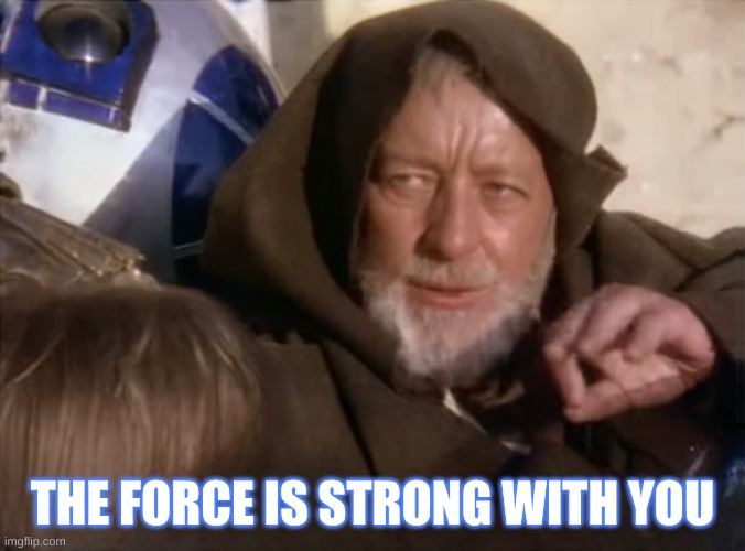 Not These Droids | THE FORCE IS STRONG WITH YOU | image tagged in not these droids | made w/ Imgflip meme maker