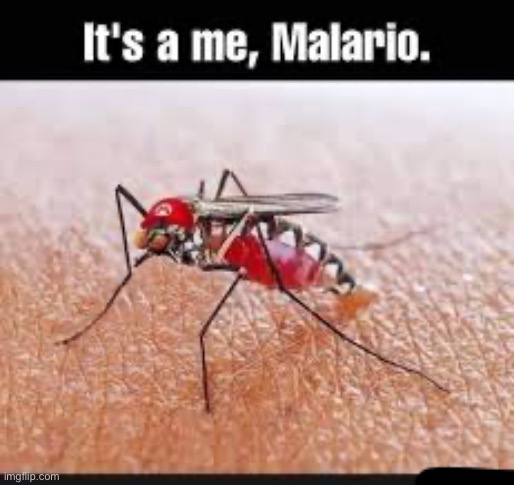 Its me a malario | image tagged in its me a malario | made w/ Imgflip meme maker