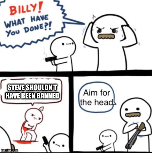 Steve ban | STEVE SHOULDN’T HAVE BEEN BANNED | image tagged in aim for the head | made w/ Imgflip meme maker