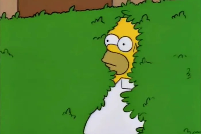 Homer in bush Blank Meme Template