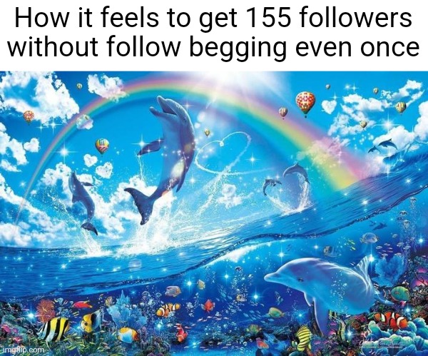 Zeta | How it feels to get 155 followers without follow begging even once | image tagged in happy dolphin rainbow | made w/ Imgflip meme maker