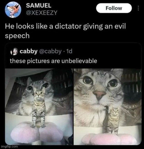 Love this cat, an absolute icon. | made w/ Imgflip meme maker